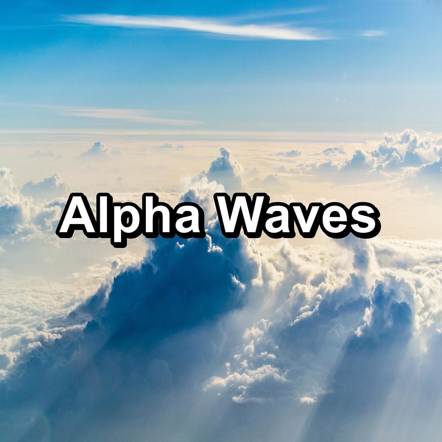 Binaural Beats - Pressure Cooker in the Kitchen