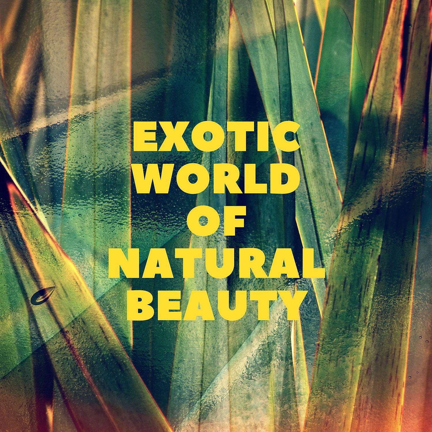Постер альбома Exotic World of Natural Beauty