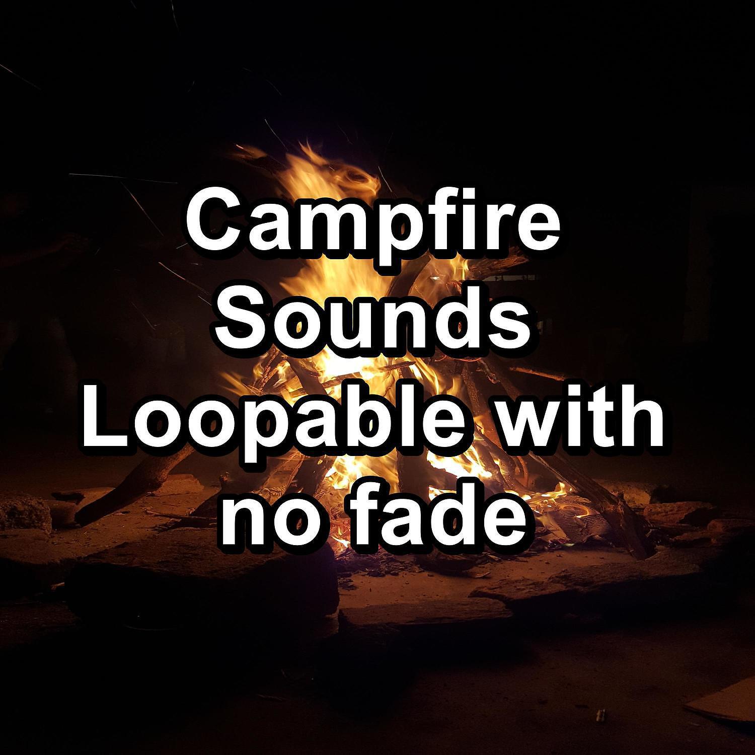 Fireplace Dream - Fireplace on the Beach Christmas Campfire