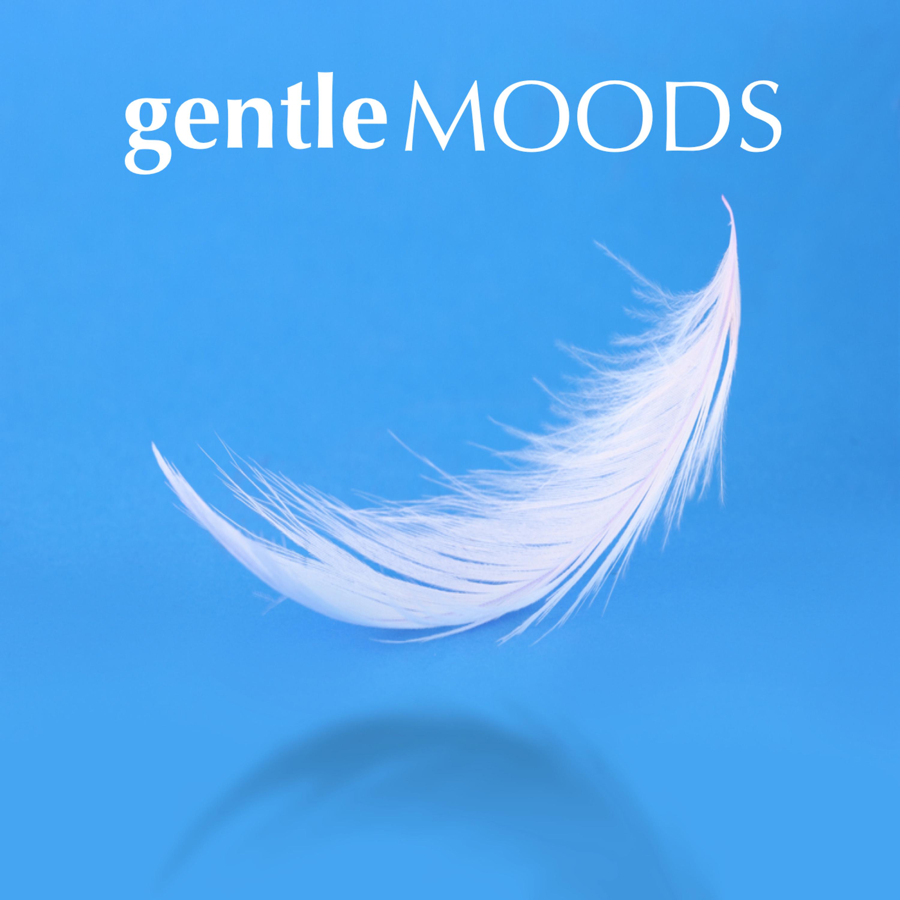 Постер альбома Gentle Moods