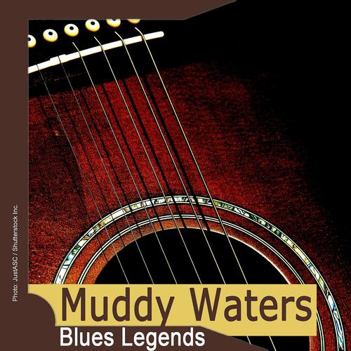 Постер альбома Blues Legends: Muddy Waters