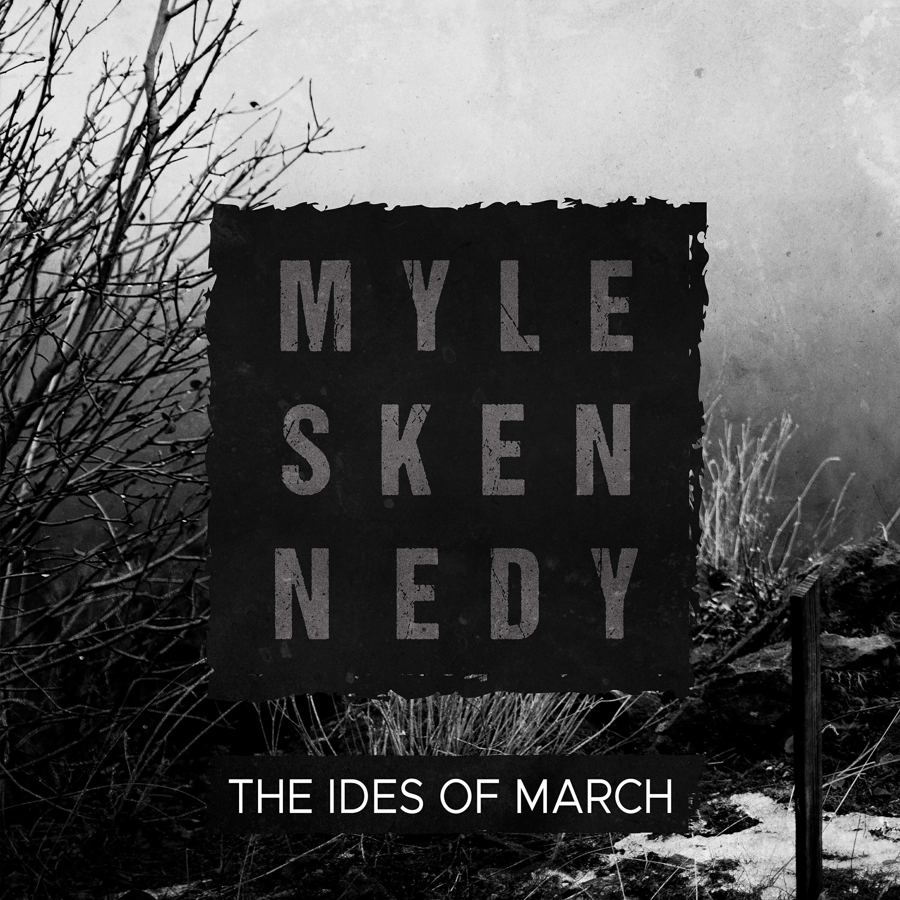 Myles Kennedy - In Stride
