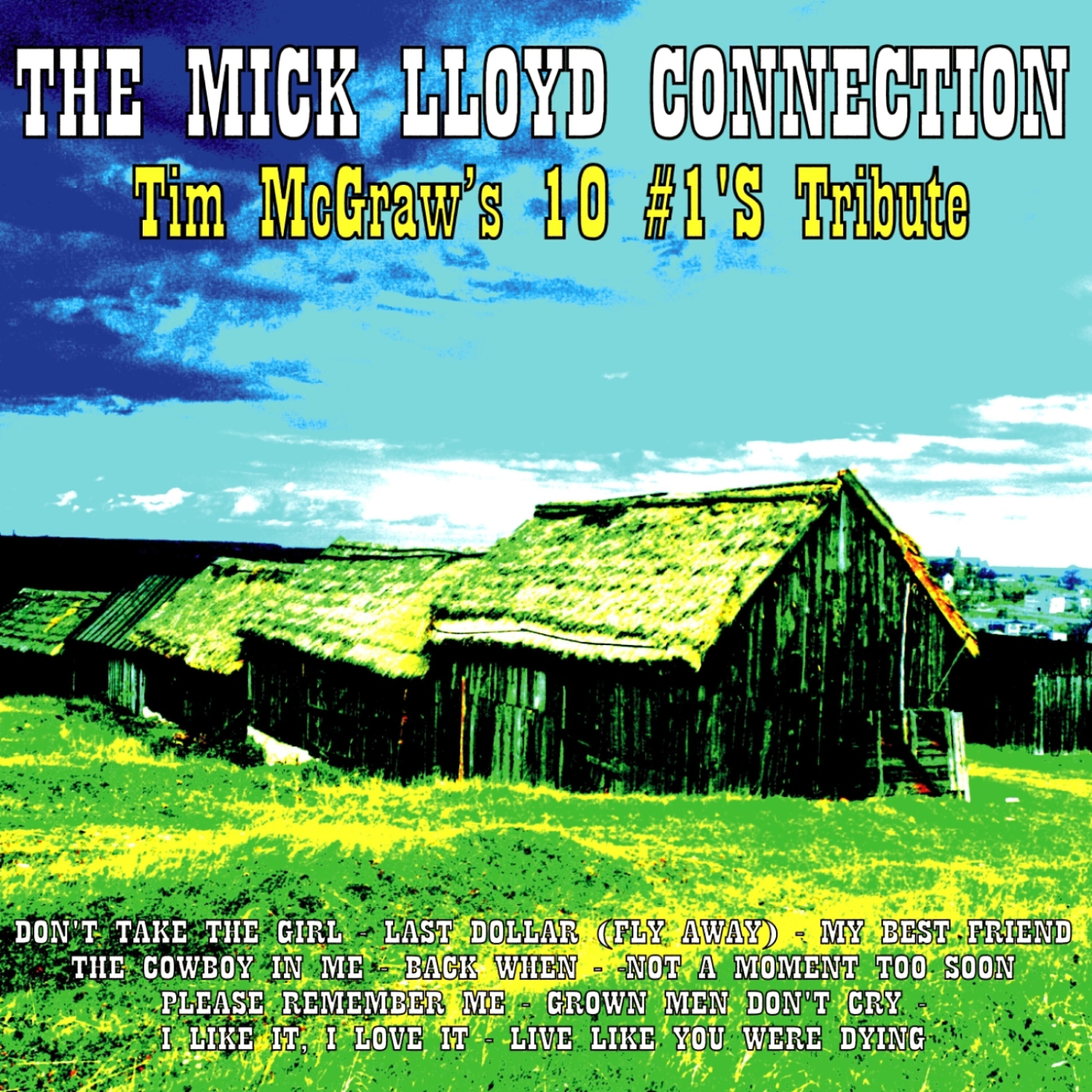 The Mick Lloyd Connection - Not a Moment Too Soon