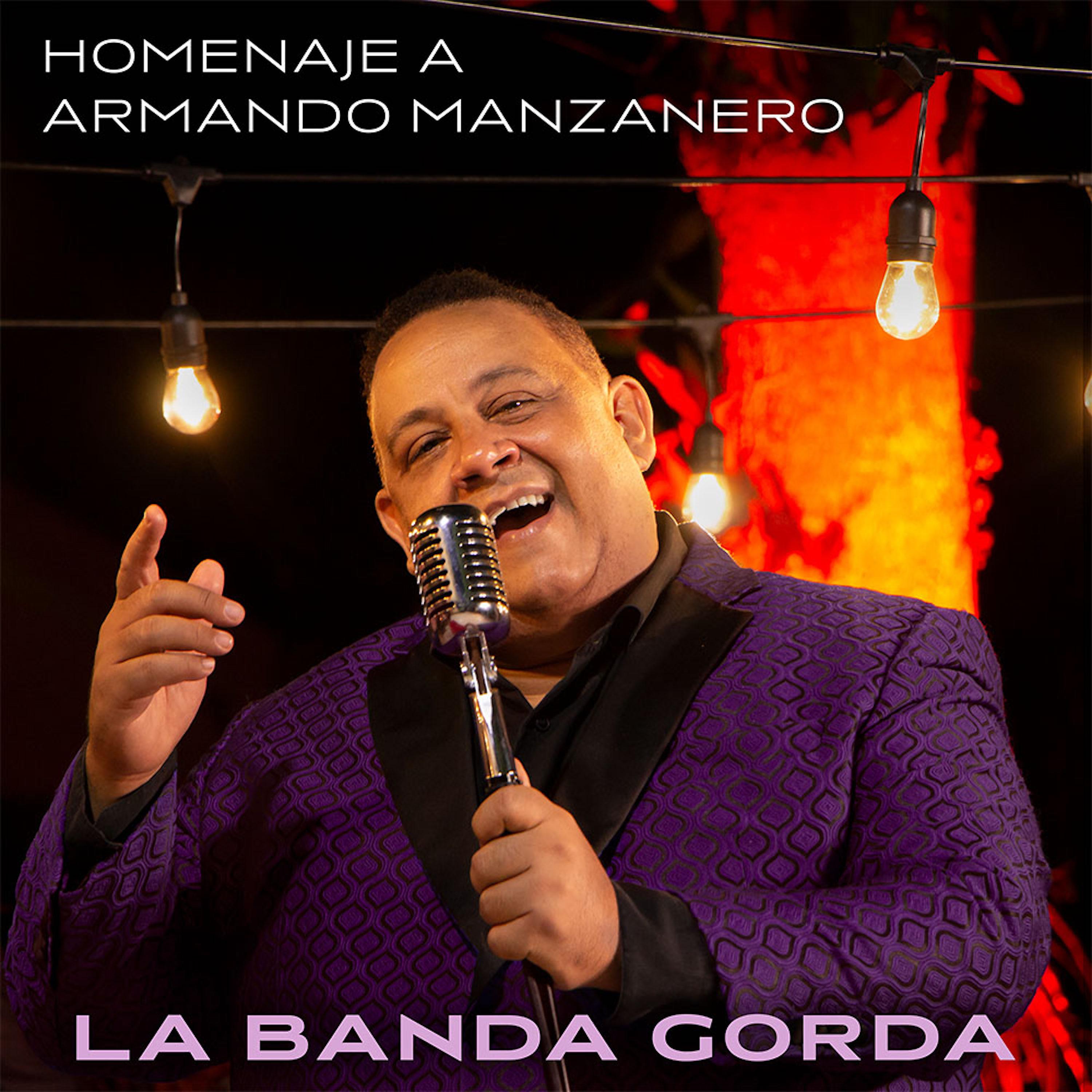 Постер альбома Homenaje a Armando Manzanero