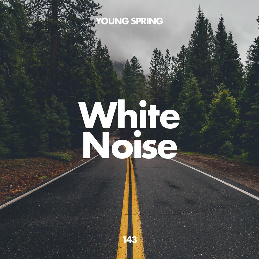 Постер альбома White Noise