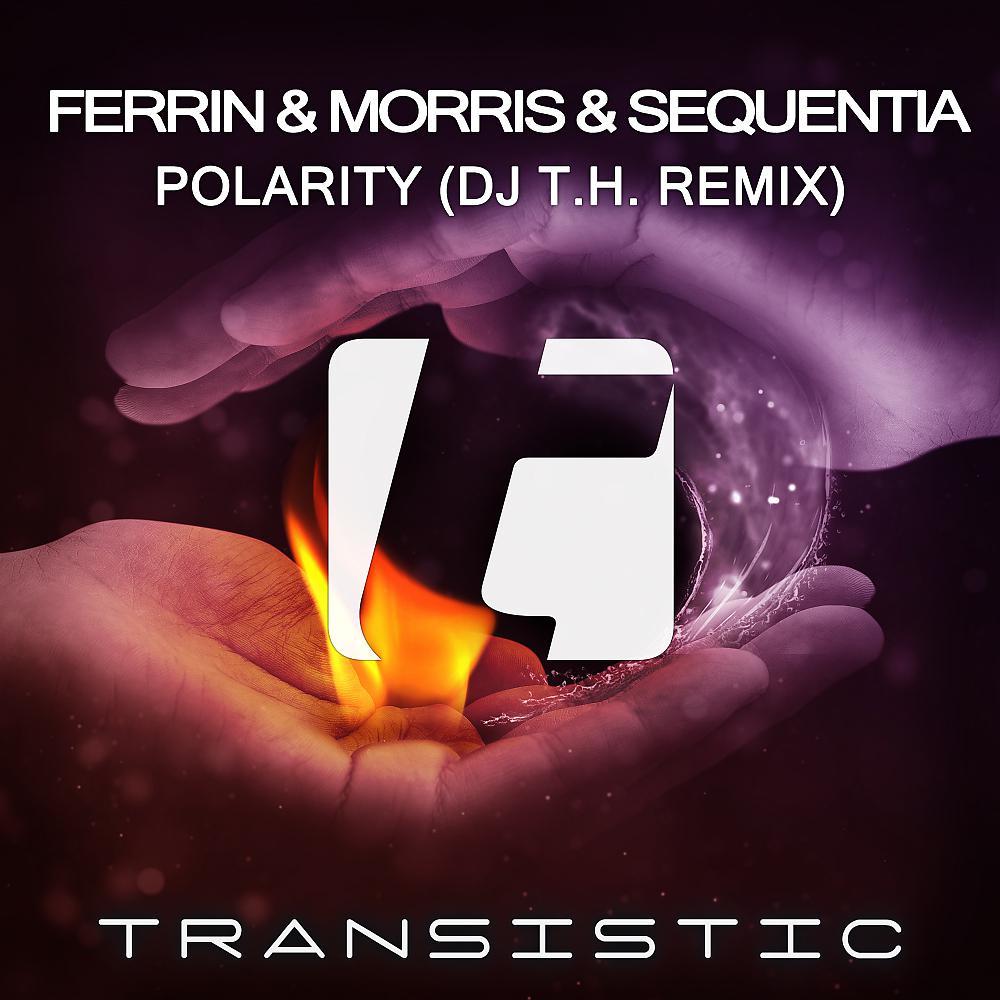 Постер альбома Polarity (DJ T.H. Remix)