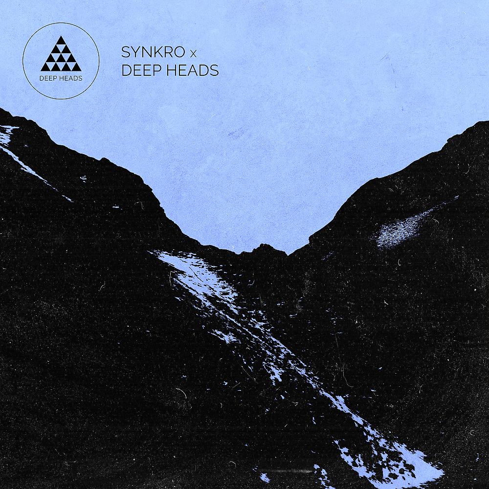 Постер альбома Synkro X Deep Heads