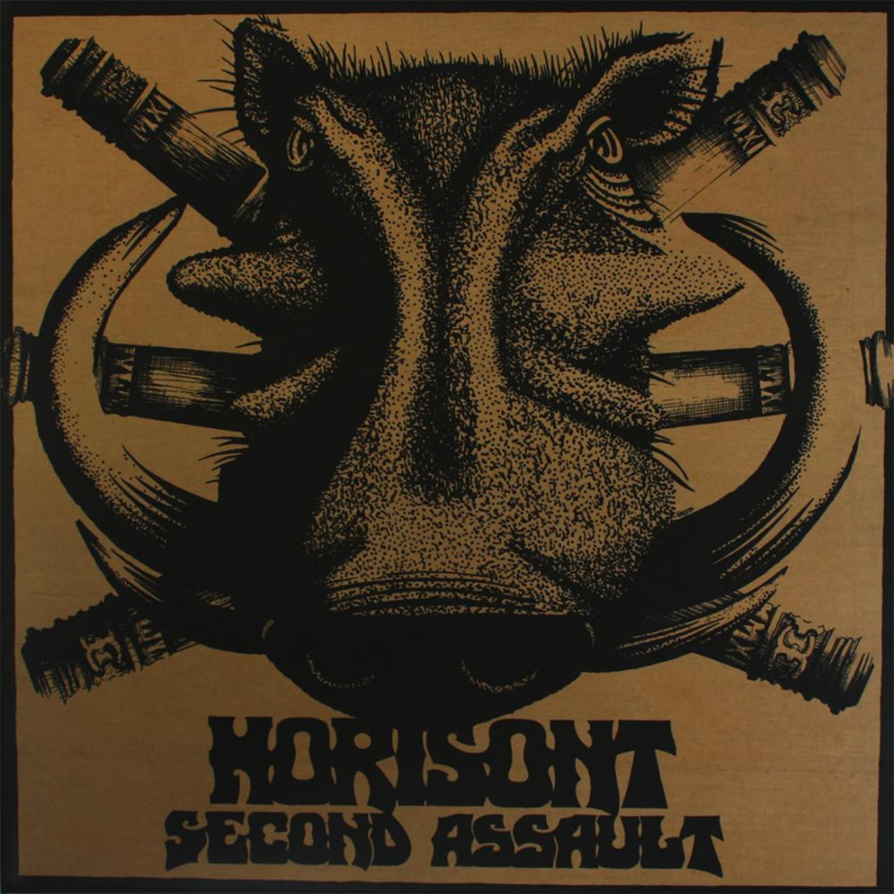 Постер альбома Second Assault