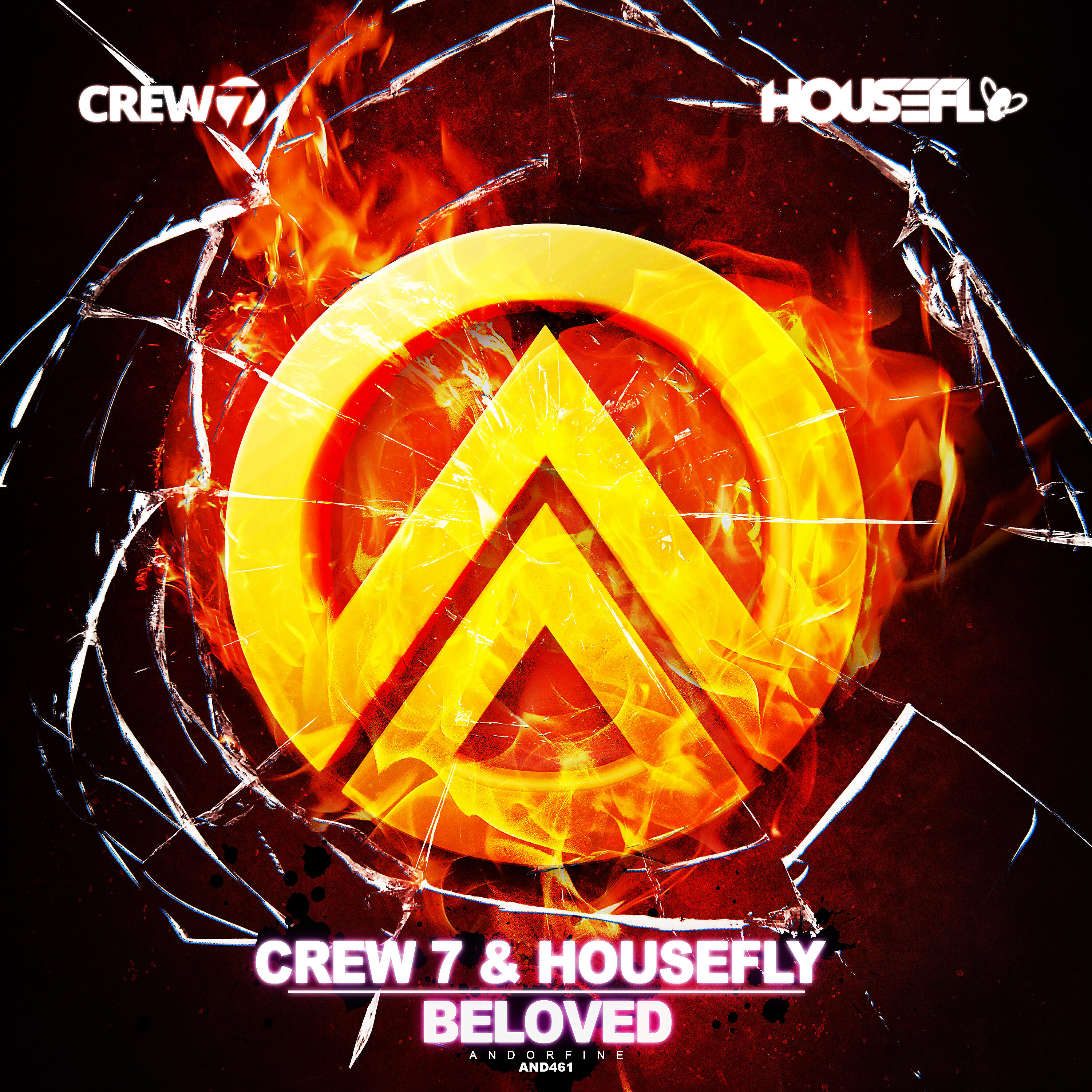 Crew 7 - Beloved (Housefly Radio Edit)