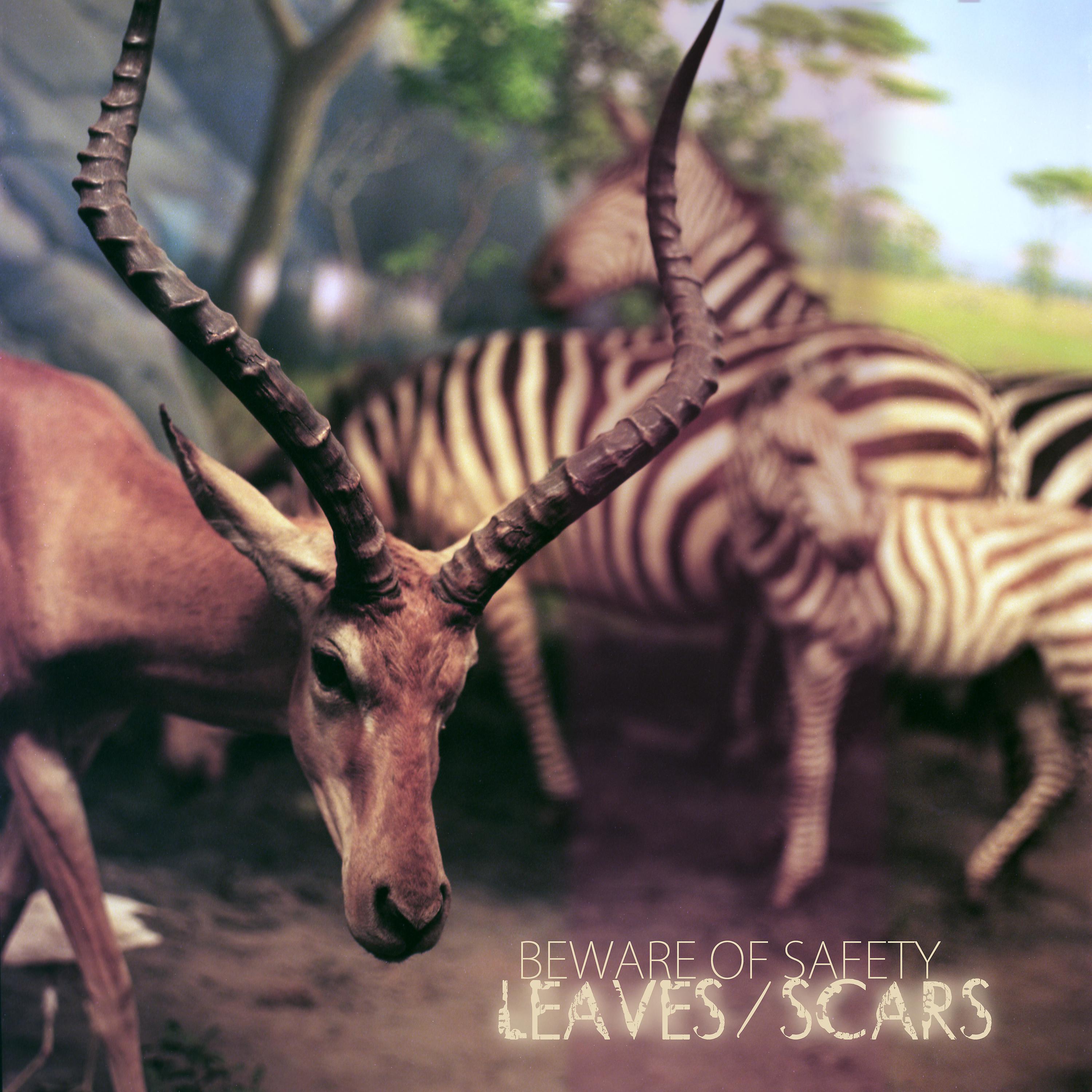 Постер альбома Leaves/Scars
