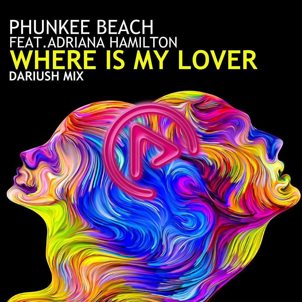 Постер альбома Where Is My Lover (Dariush Remix)