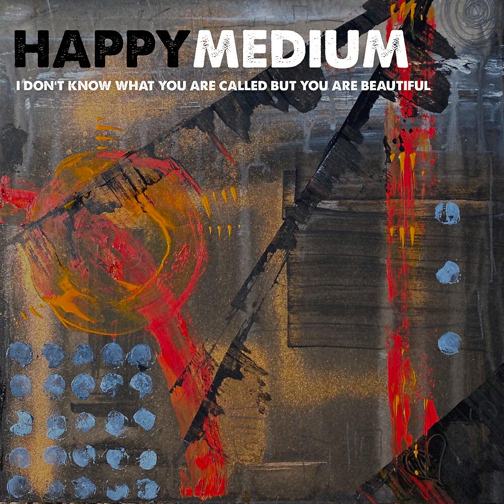 Happy Medium - I Don't Know What You Are Called But You Are Beautiful (Johnatron Remix)