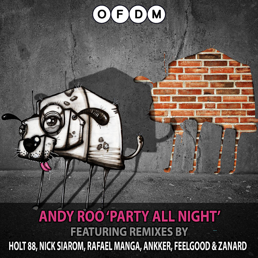 Andy Roo - Party All Night (Holt 88 Remix)