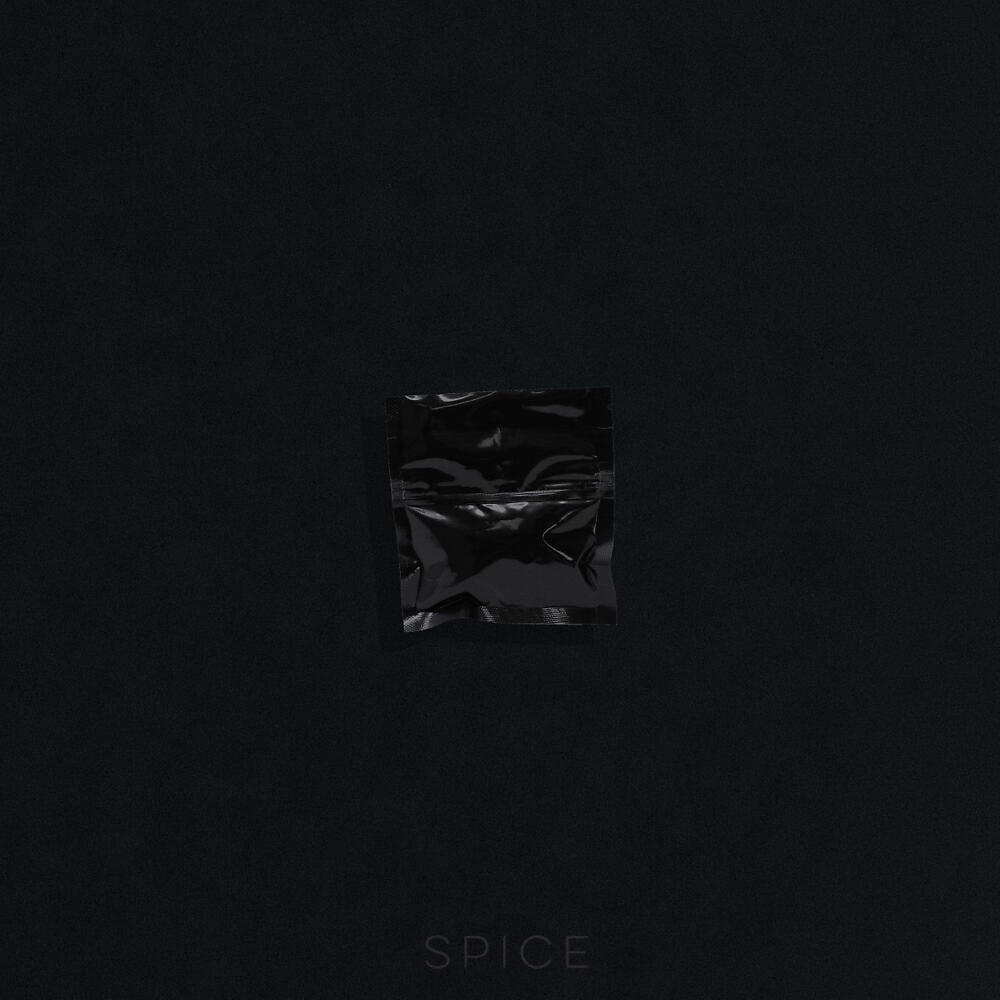 INTERREX - Spice (Original Mix)