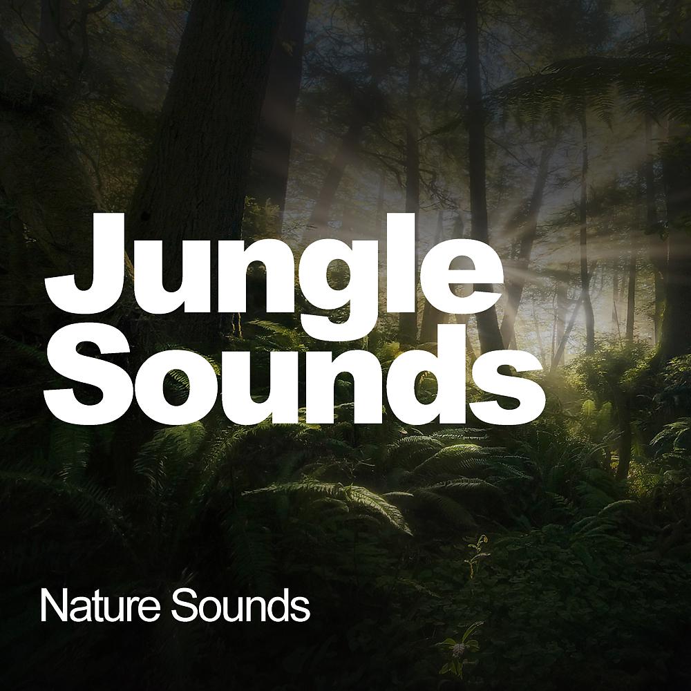 Постер альбома Jungle Sounds