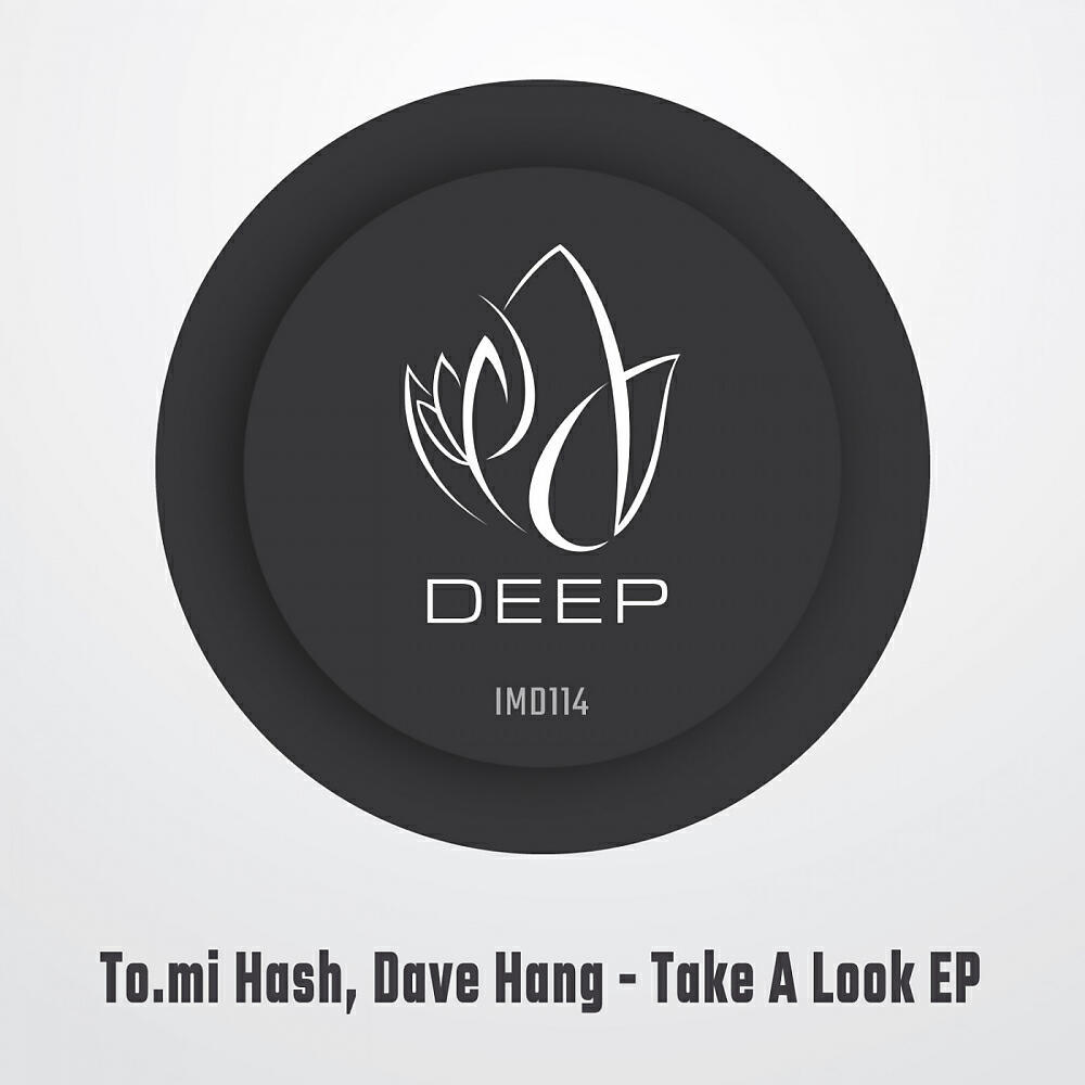 Dave Hang - Take A Look (Original Mix)