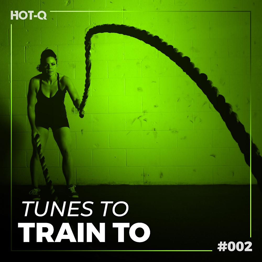 Постер альбома Tunes To Train To 002