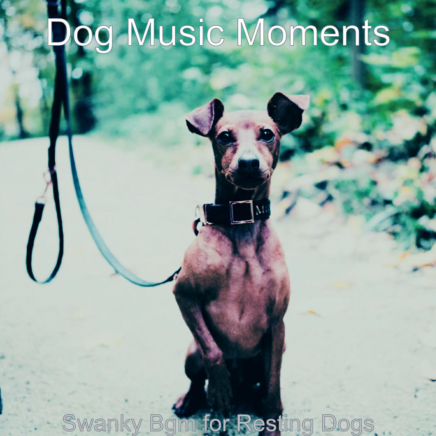 Dog Music Moments - Heavenly Music for Cute Dogs