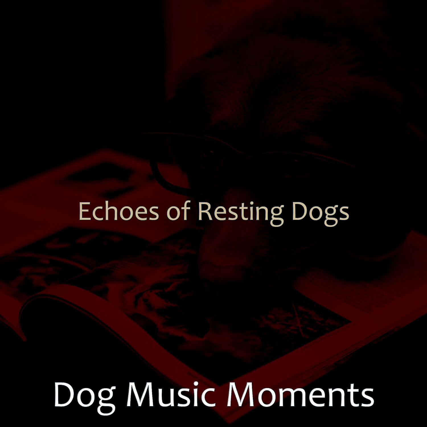 Dog Music Moments - Sophisticated Music for Cute Dogs