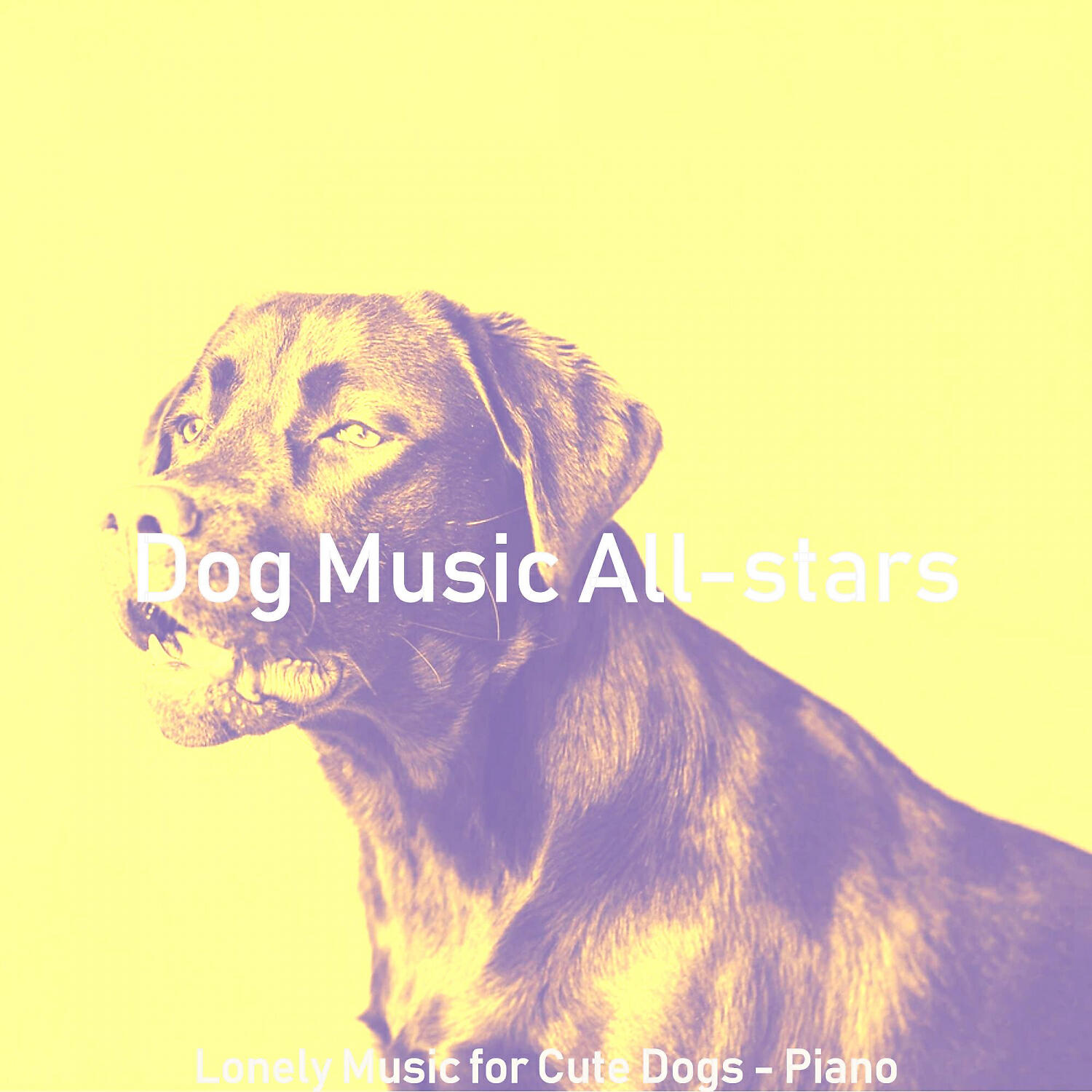 Dog Music All-stars - Number One Solo Piano Jazz - Vibe for Separation Anxiety