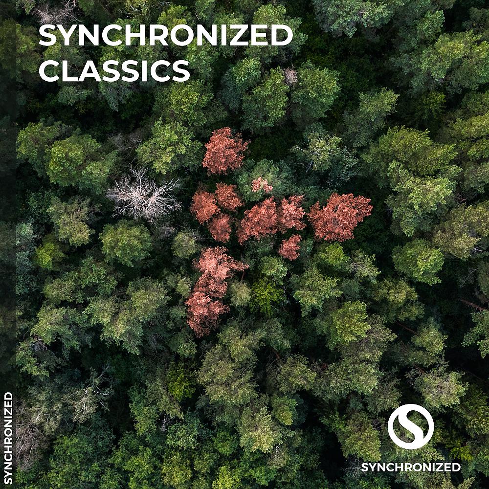 Постер альбома Synchronized Classics