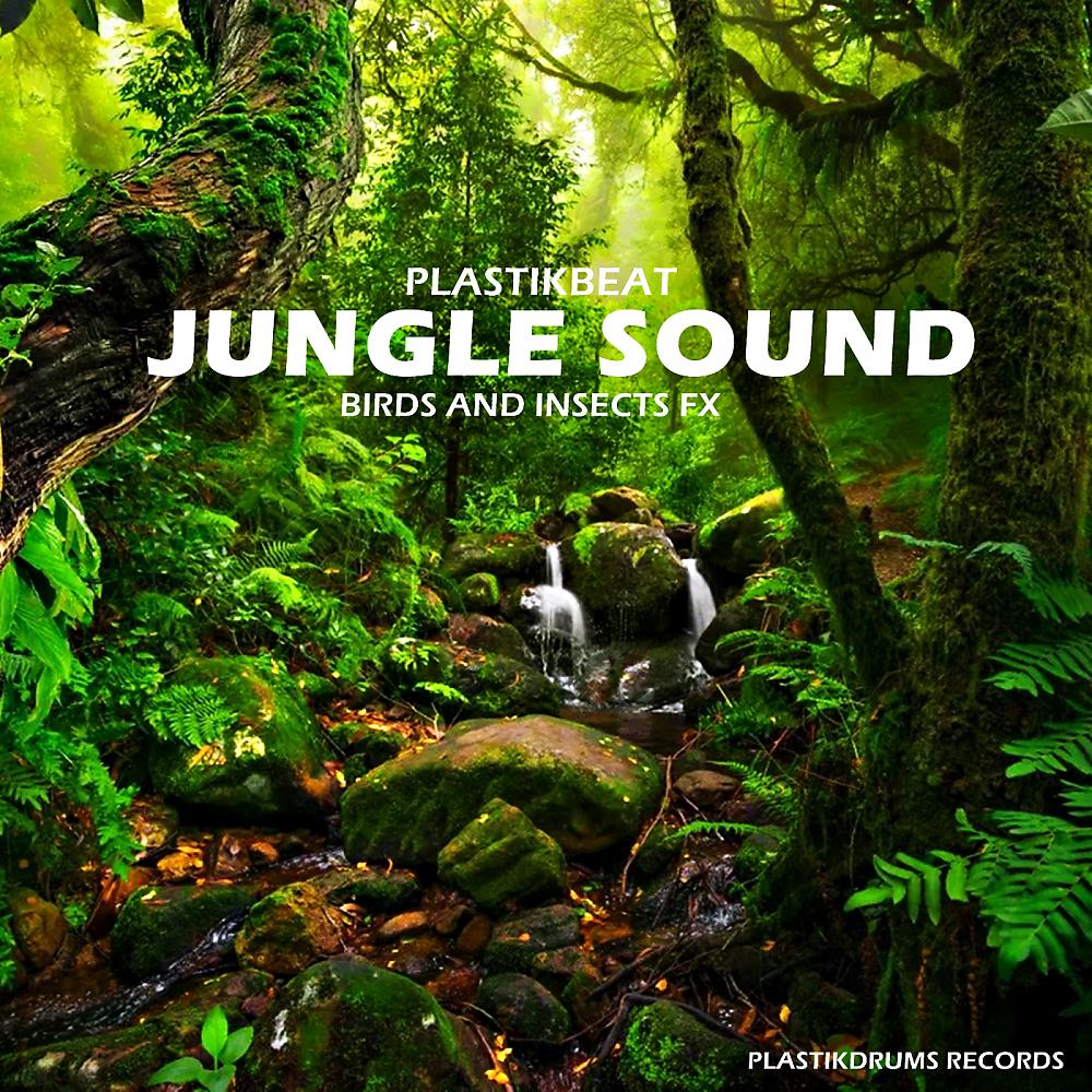 Постер альбома Jungle Sound (Birds and Insects FX)