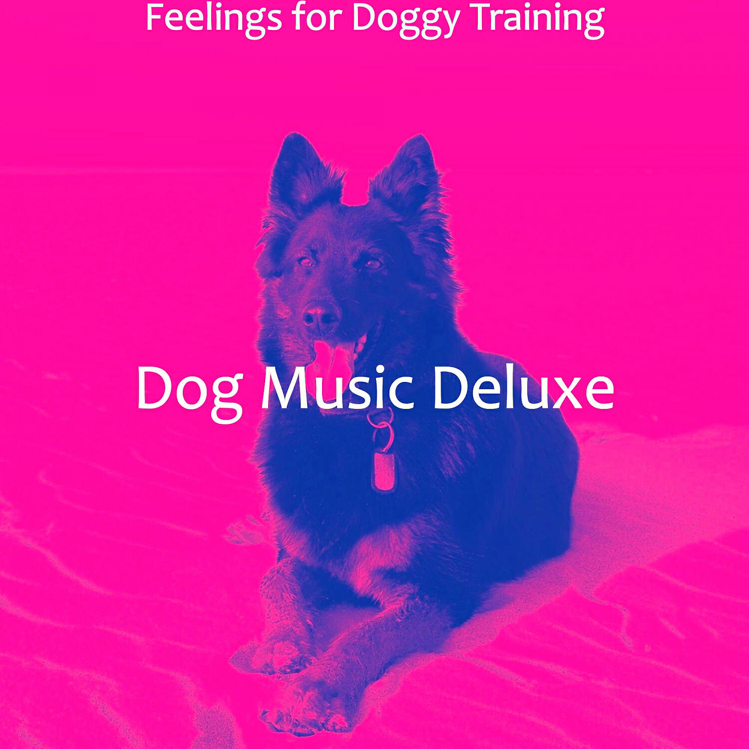 Dog Music Deluxe - Magical Solo Piano Jazz - Vibe for Resting Dogs