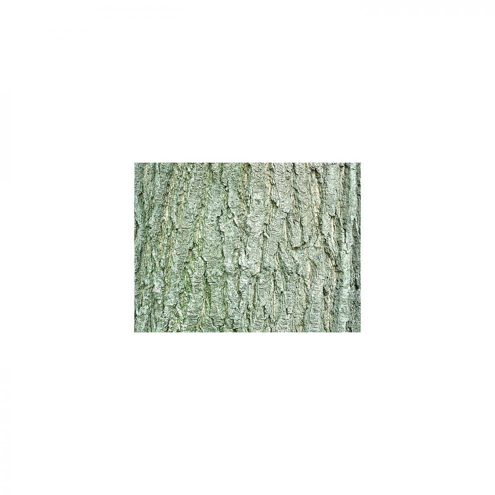Mindfulness Healing BGM Project - Envelope and Rest (Sleep Mix)