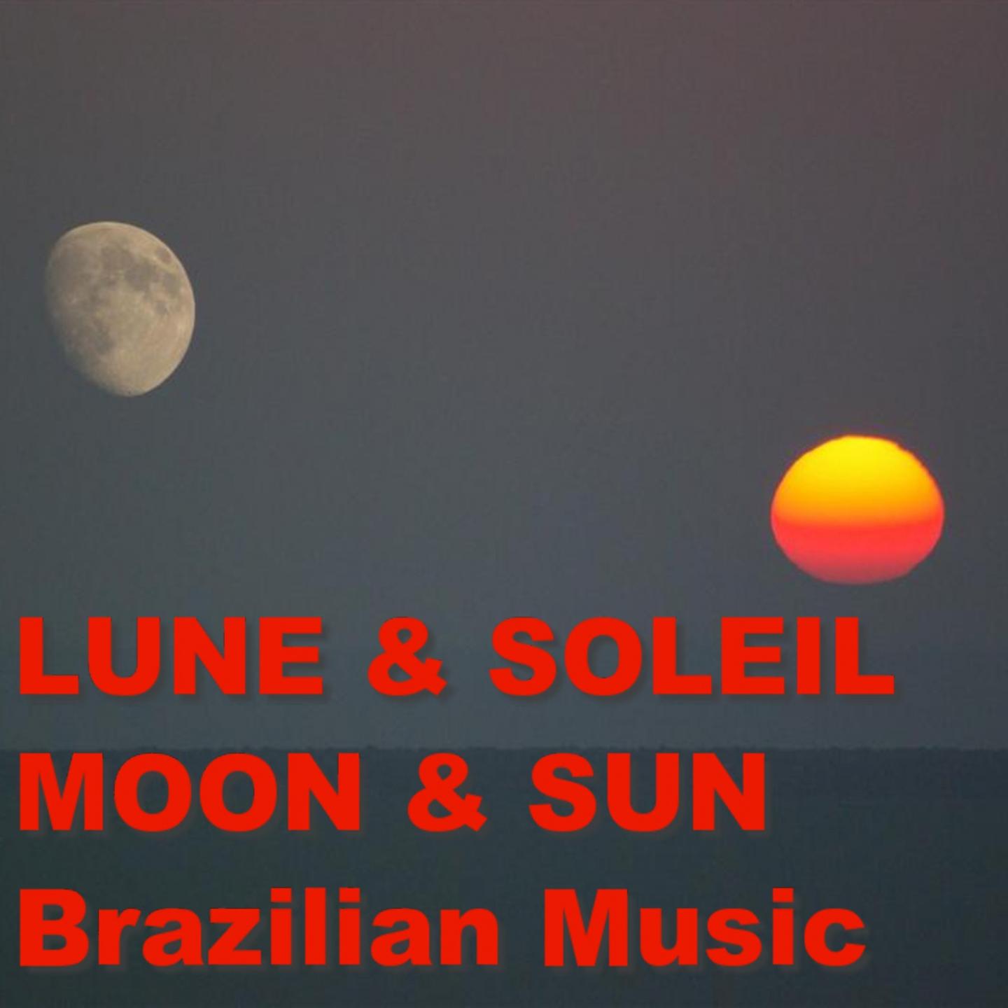 Постер альбома Une nuit en Amérique du sud (Moon & Sun - Brazilian Music)