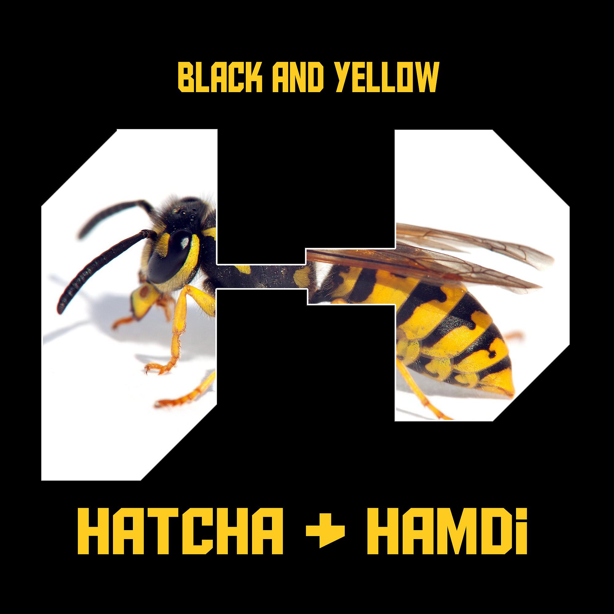 Постер альбома Black and Yellow