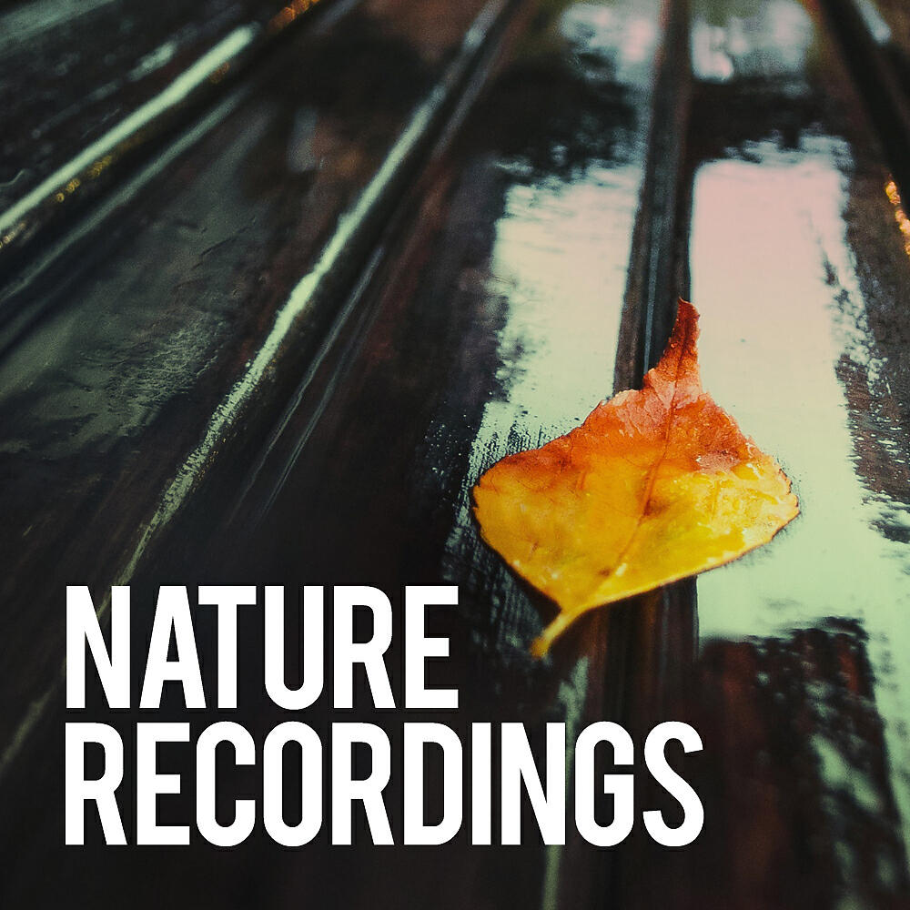 Sounds Of Nature - Stress Free (Original Mix)