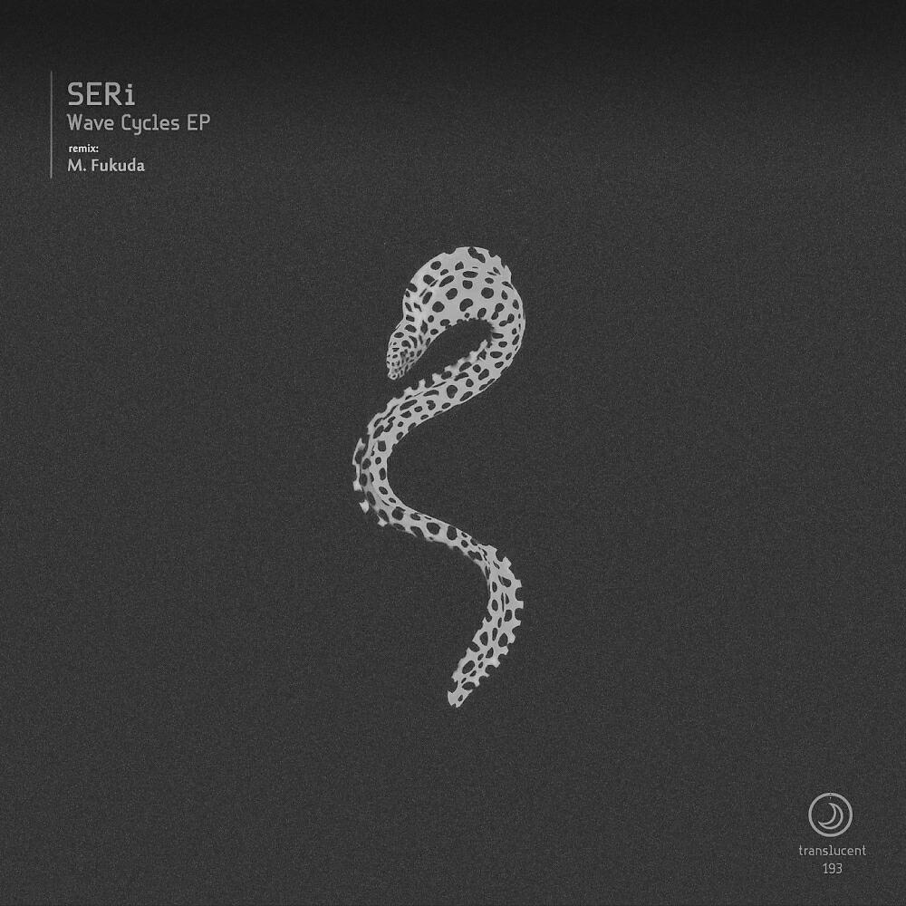 SERI (JP) - Wave Cycles 01 (Live Mix)