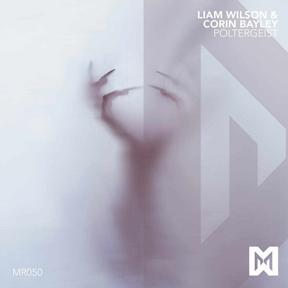 Liam Wilson - Poltergeist (Original Mix)