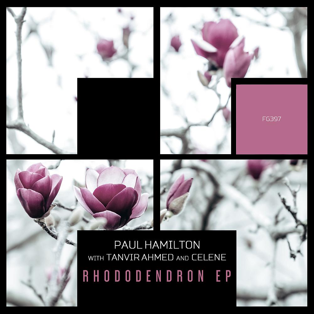 Постер альбома Rhododendron EP