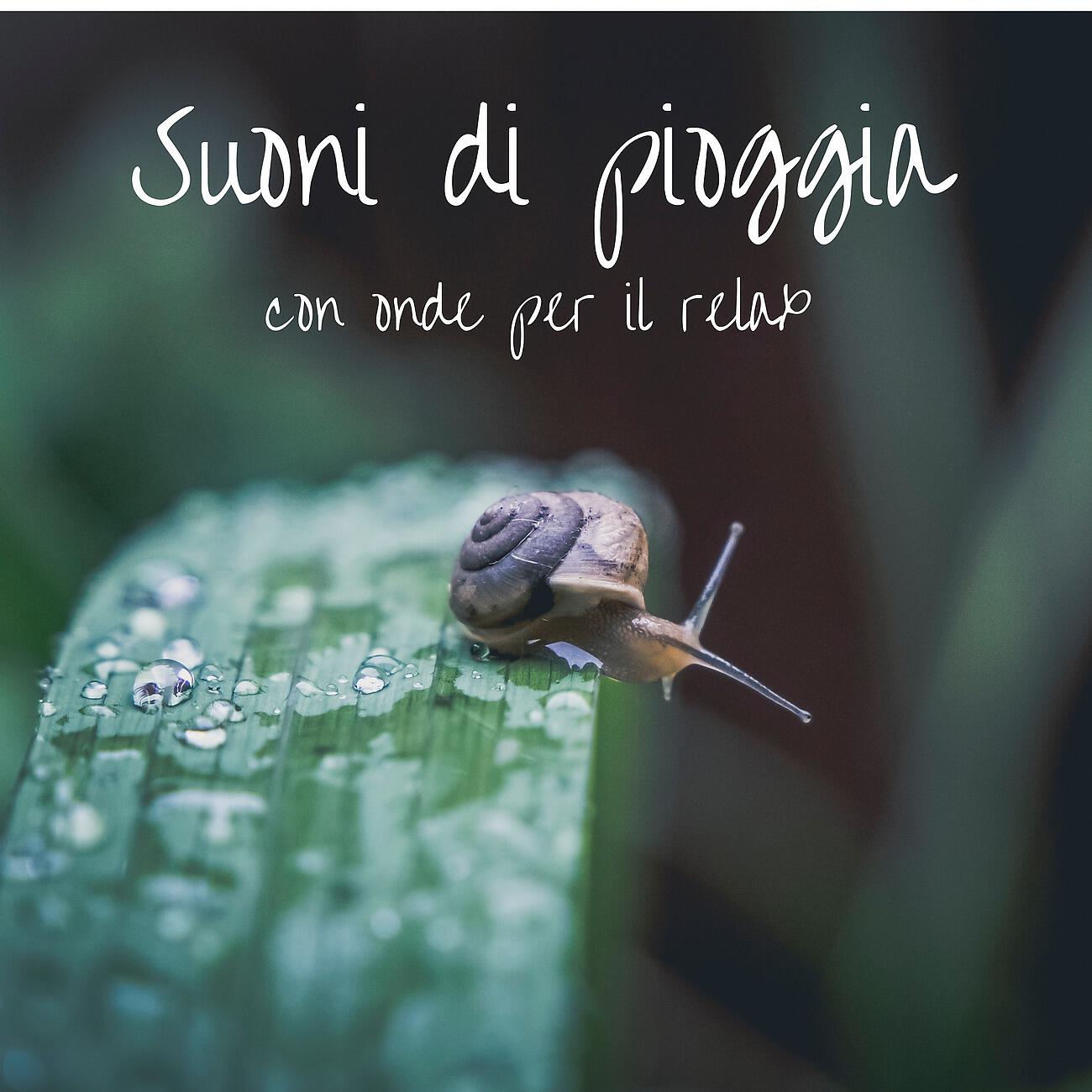 Relax musica new age club - Suoni di pioggia con onde per il relax