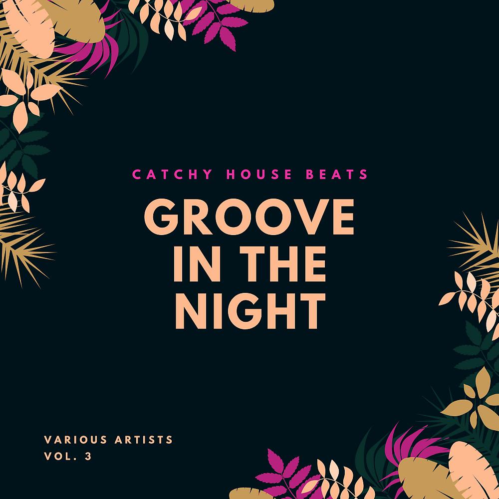 Постер альбома Groove In The Night (Catchy House Beats), Vol. 3