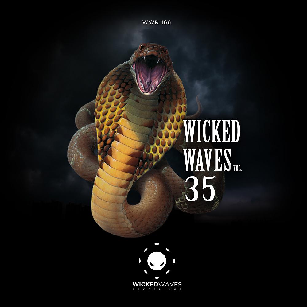 Постер альбома Wicked Waves, Vol. 35