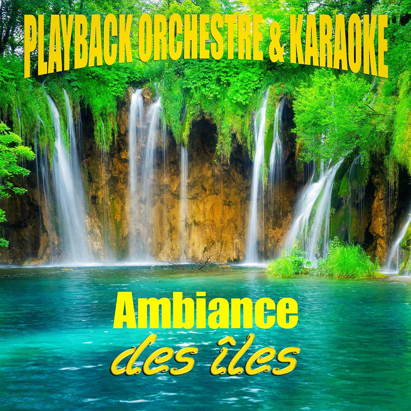 Постер альбома Ambiance des îles