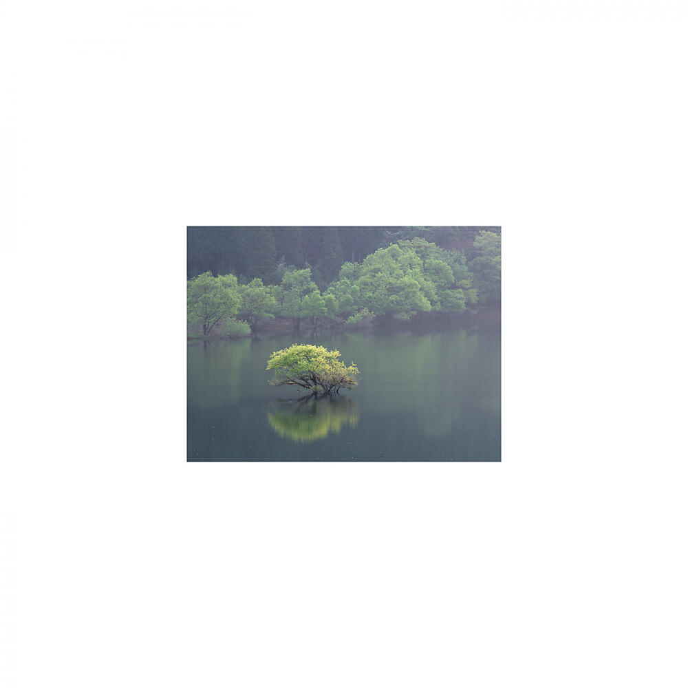 Mindfulness Healing BGM Project - Perseverance & Safety (Original Mix)