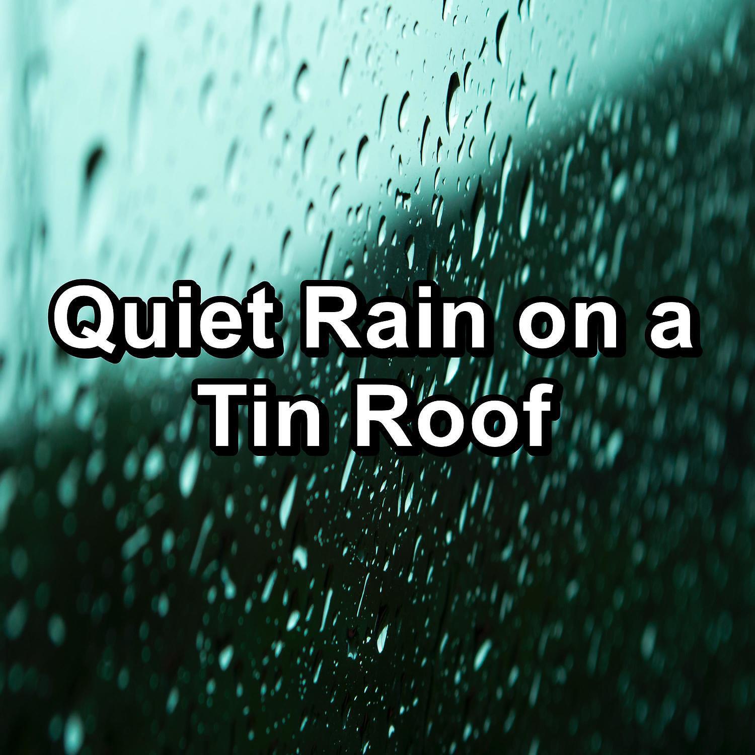 Sounds Of Nature - Medium Rain in the Rainy Forest To Help You Take A Nap
