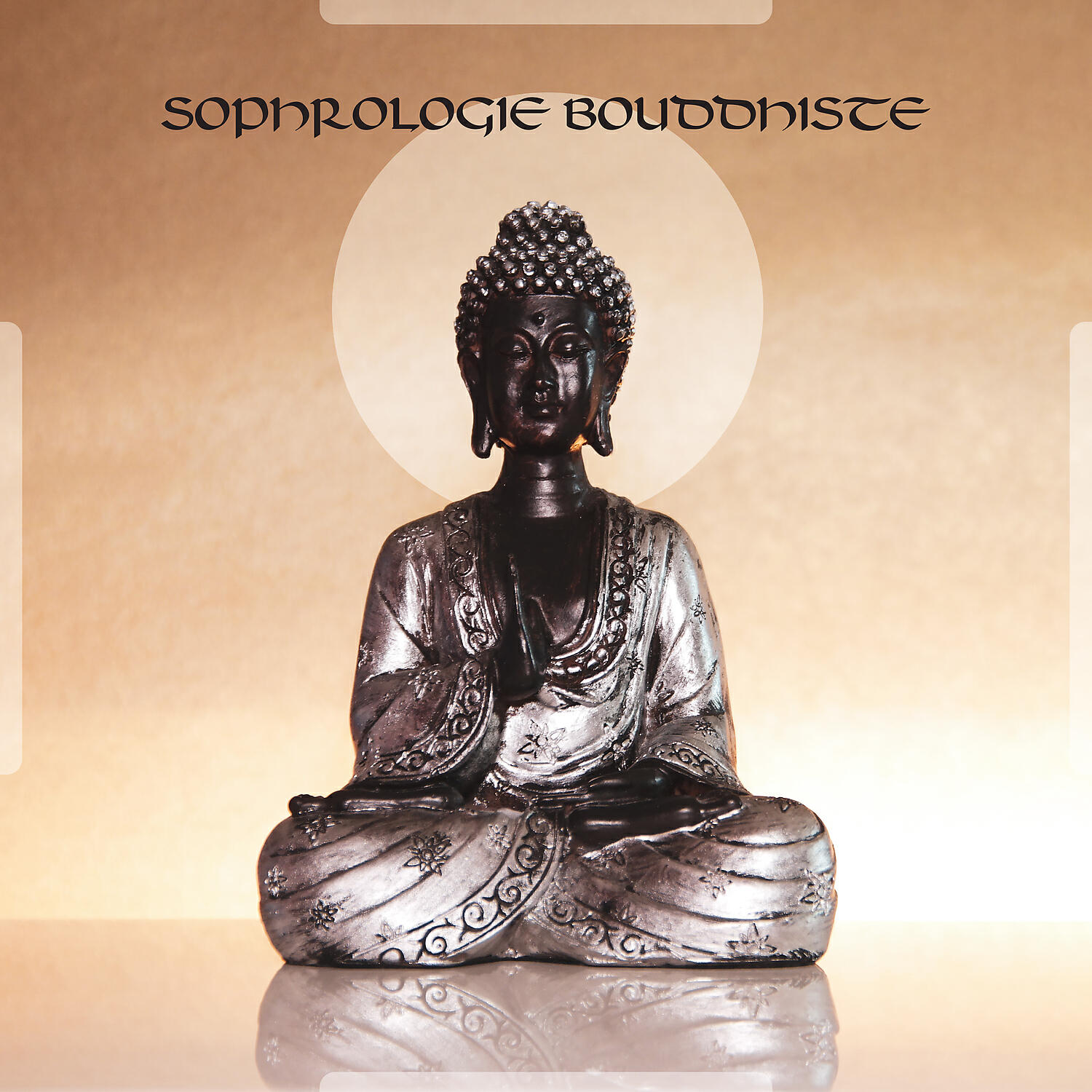 Ensemble de Musique Zen Relaxante - Force et vitalité