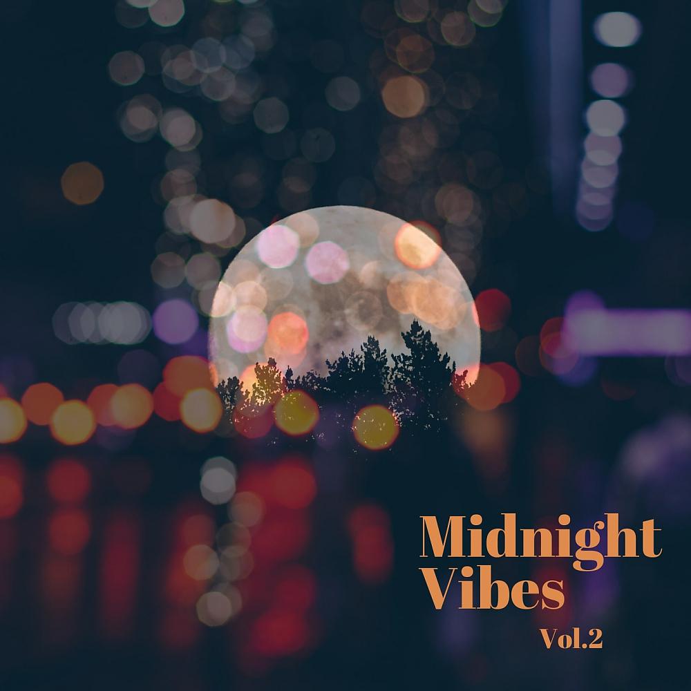 Постер альбома Midnight Vibes, Vol. 2