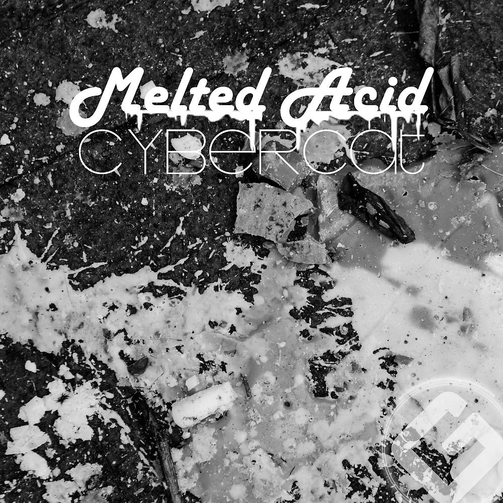 Постер альбома Melted Acid