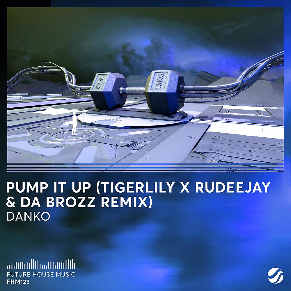 Постер альбома Pump It Up (Tigerlily x Rudeejay & Da Brozz Remix)