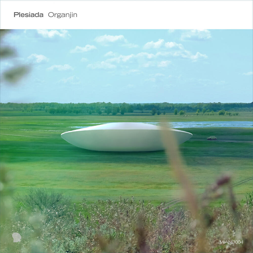 Plesiada - Epi (Original Mix)