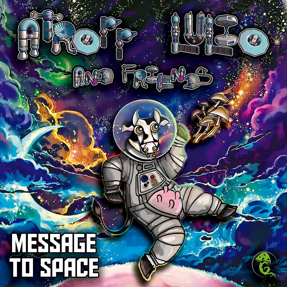 Постер альбома Message To Space