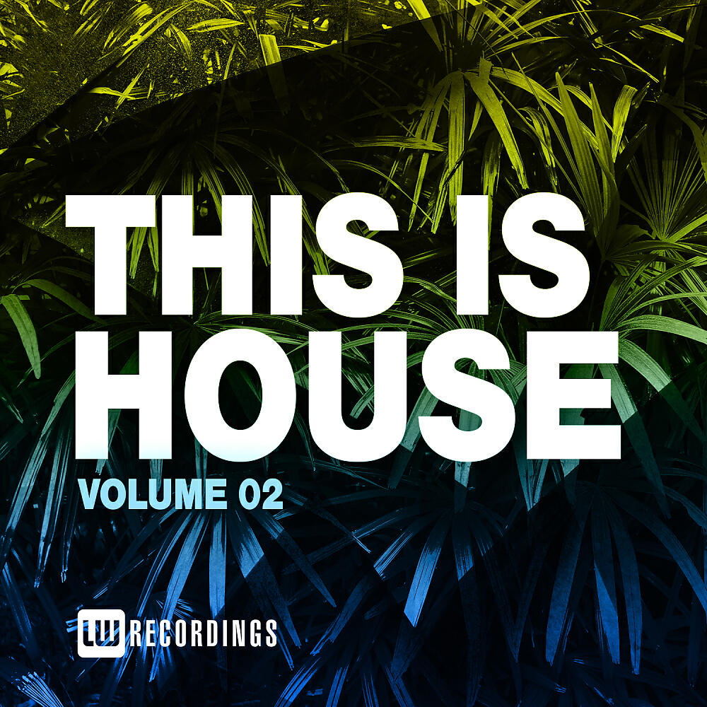 Lizzie Curious - We Only Got (Rhythm Staircase Remix)