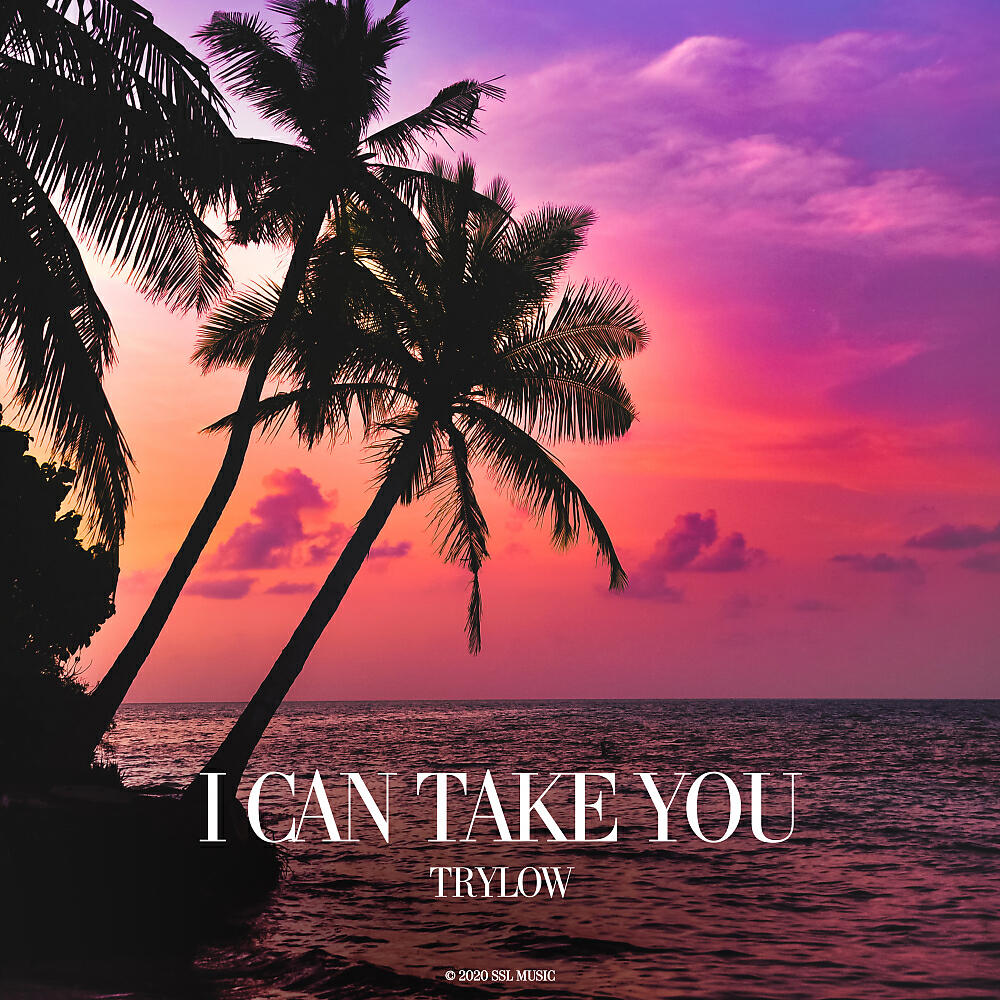 TRYLOW - I Can Take You (Original Mix)
