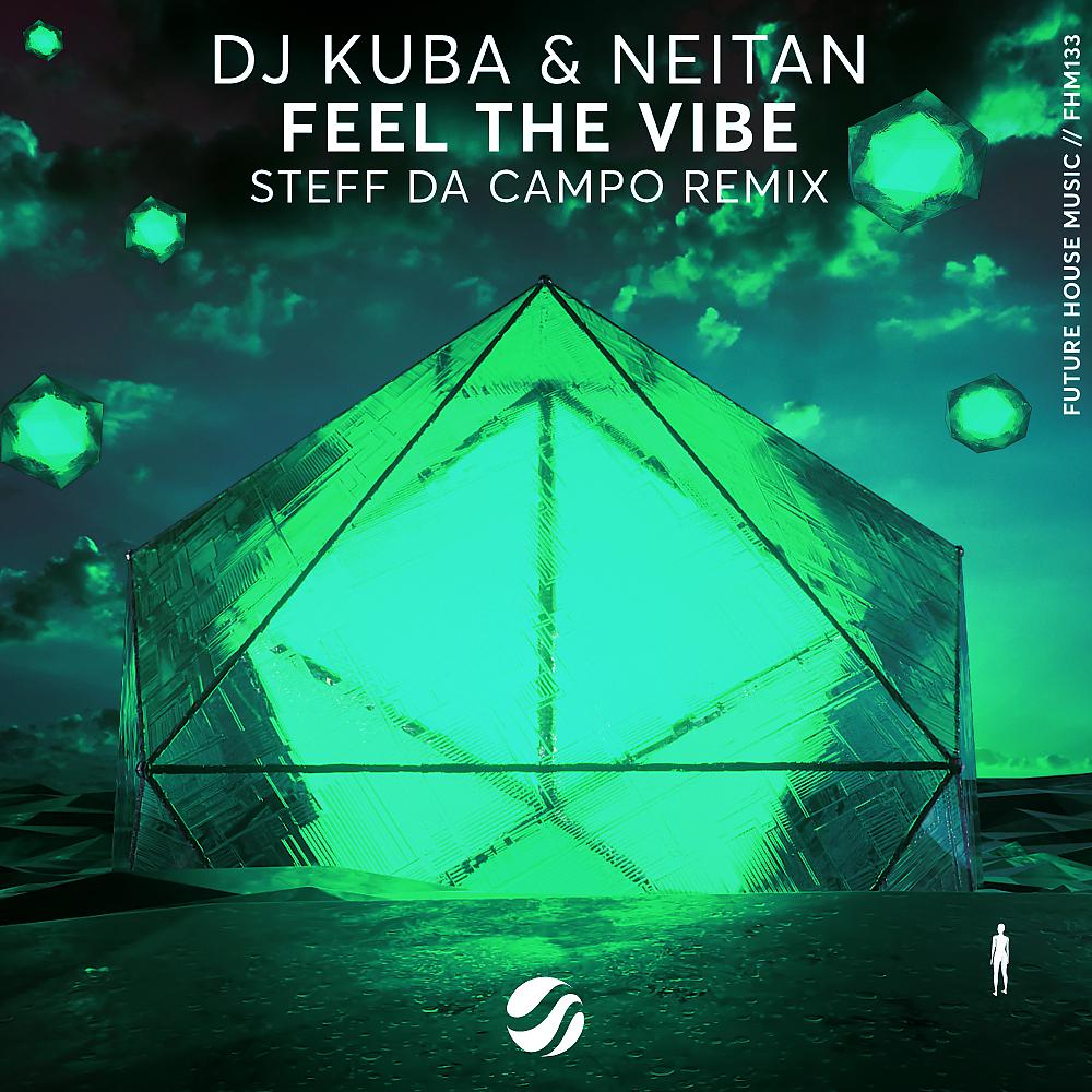 Постер альбома Feel The Vibe (Steff Da Campo Remix)