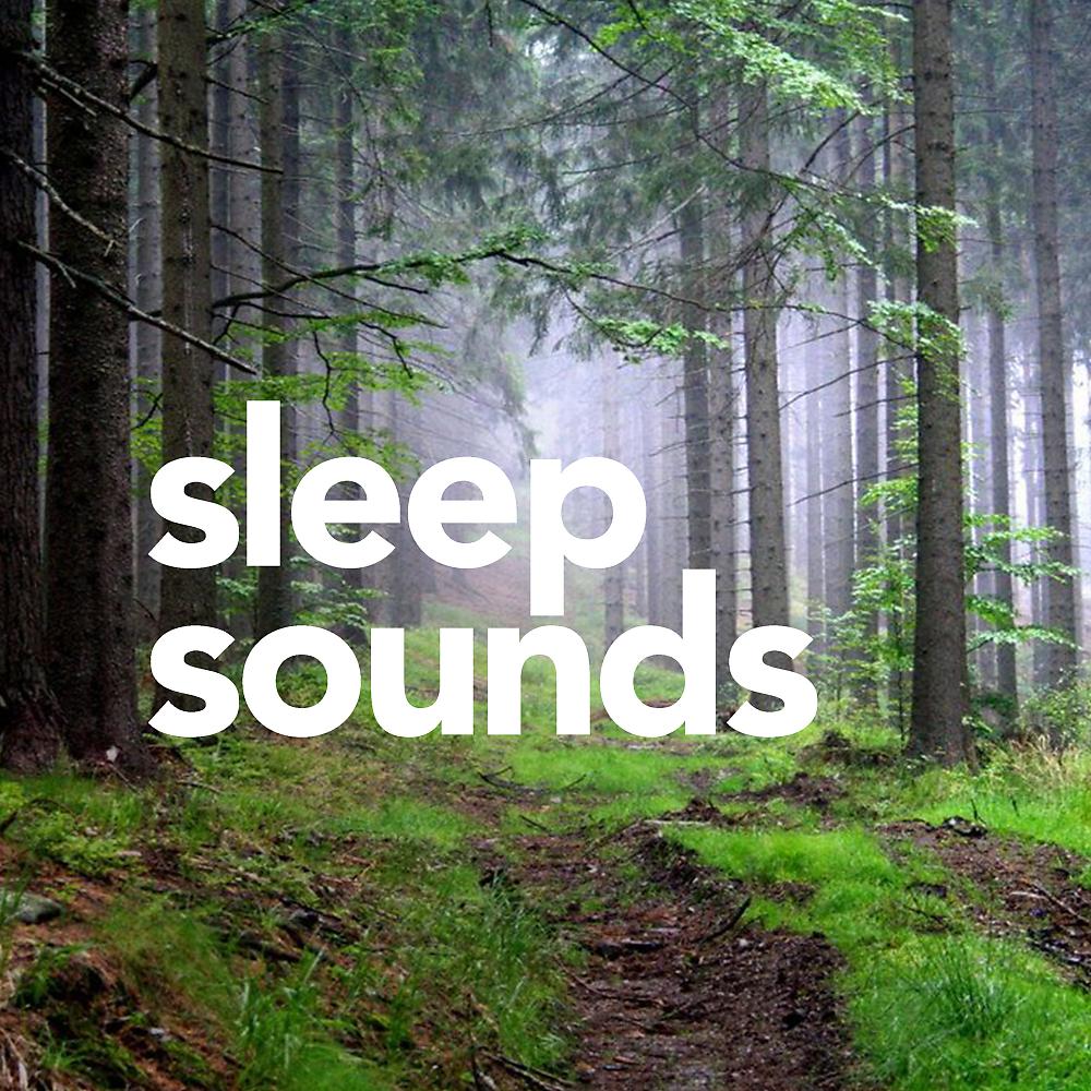 Постер альбома Sleep Sounds